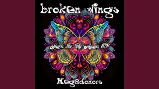 Broken Wings Dance Remix 2025 [upl. by Elysee441]