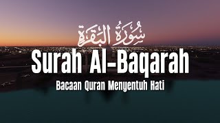 Surah Al Baqarah Dengan Suara Indah Membuat Hati Tenang  Ahmad Al Shalabi [upl. by Barra]