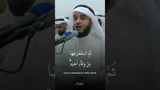 Beautiful Quran Recitation [upl. by Elberfeld]