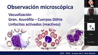 Sesión 2 Diagnóstico morfológico de la Ehrlichia spp Por EHDL Suana Ruiz Bacelis mp4 [upl. by Nalo794]