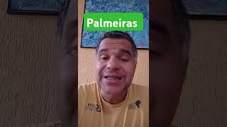 palmeiras [upl. by Dominic]