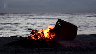 🔥 Campfire Bonfire on the Beach with the Sound of Relaxing Ocean Waves amp Crackling Burning Firewood [upl. by Bick]