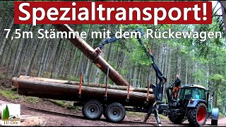 Spezialtransport 75m Stämme mit dem Rückewagen  BMF 14T2Pro amp Fendt 312 Vario [upl. by Winnifred]