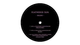 Feathered Sun Feat JoKe  Miraflores [upl. by Battista]