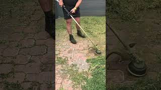 CRAZY driveway CLEANUP and edge shorts lawn [upl. by Tombaugh781]