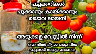 വിഷരഹിത പച്ചക്കറി കഴിക്കാം ഈ ജൈവ ലായനി നിങ്ങൾക്കും ഉണ്ടാക്കാം organicfarming terracegarden [upl. by Hoj601]