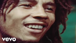 Bob Marley amp The Wailers  Lively Up Yourself Official Video [upl. by Ecinwahs]