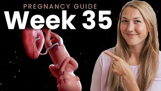 35 Weeks Pregnant  Week By Week Pregnancy [upl. by Adnah]