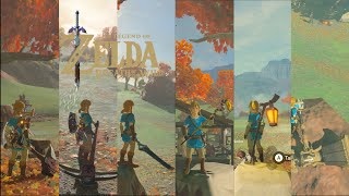 quotNEWquot NPC Weapons in Breath of the Wild BOTW MODS [upl. by Ayhdnas331]