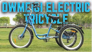 DWMEIGI Electric Tricycle Review  StepThrough Cruise Trike [upl. by Nahgem909]