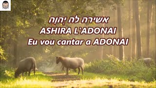 ASHIRA LADONAI  Eu vou cantar a ADONAI  Elihana Elia [upl. by Elehcar54]