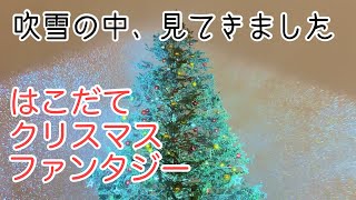 【函館観光】はこだてクリスマスファンタジー 吹雪の中、凍傷になりかけた [upl. by Julissa]