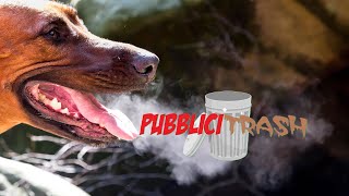 Pubblicitrash  Alito Canino [upl. by Hussey]