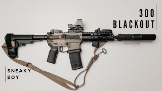 300 AAC Blackout  The Quietest Gun I Own [upl. by Aicelav]