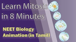 Tamil NEET Biology Animation Mitosis  Cell cycle and cell division [upl. by Nnayhs]