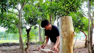 Full Video Renovating old houses and perfecting the garden  Rural life  Episode 1 [upl. by Dyol]