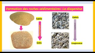 Formation des roches sédimentaires Diagenèse SVT 1APIC [upl. by Retepnhoj231]