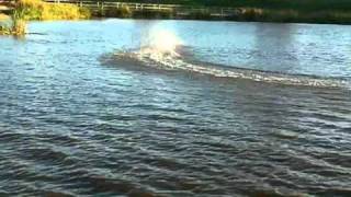 RC Boat49cc 2 Stroke [upl. by Ruddy]