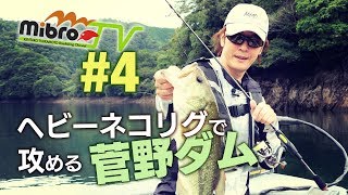 mibroTV 4 〜ヘビーネコリグで攻める菅野ダム〜 [upl. by Enetsuj326]