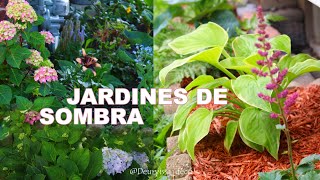 PLANTAS DE SOMBRA perfectas para un jardín con poca luz  Crea tu jardin de ensueño fácil y rápido [upl. by Enined104]