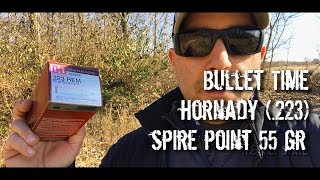 Bullet Time  Hornady Spire Point 55 gr 223 Chronographed [upl. by Viviane648]