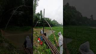 Amazing Fishing Video During Rainy Day Using Net fishingvideo fish fishing [upl. by Oilut]