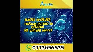 Aqualife RO Alkaline Water Filter  පිරිසිදු දිය බිදක් සුවපත් දිවියක් [upl. by Vizzone]