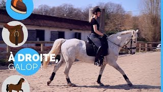 Le départ au galop 🐎 I À droite galop  💥 [upl. by Dorree]