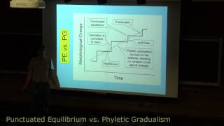 Phyletic Gradualism Vs Punctuated Equilibrium  Principles of Systematics  ZOO511TTopic158 [upl. by Wadlinger507]