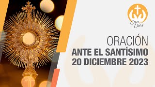 Adoración al Santísimo Miércoles 20 Diciembre de 2023 Padre Wilson Lopera 🙏 Ora Con Dios [upl. by Sherri]