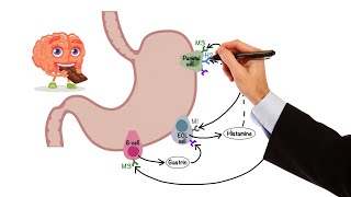 Pharmacology  GASTROINTESTINAL AND ANTIEMETIC DRUGS MADE EASY [upl. by Ornie]