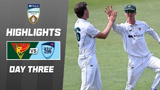 Tasmania v NSW  Sheffield Shield 202324  Day 3 [upl. by Solraced]