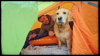 Camping in the Trossachs National Park [upl. by Addam]