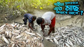 গহীন সুন্দরবনের ছোট নালায় এত মাাছ পাবো ভাবি নি  Fish Catching BD  Adventure BD [upl. by Itoc151]