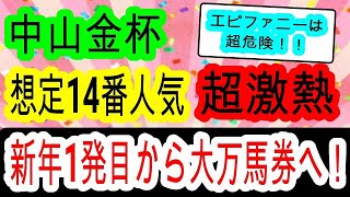 【競馬予想】中山金杯2024 例年より馬場が良くCコース変わりで狙う馬とは！？ データ人気穴馬見解 [upl. by Roxana]