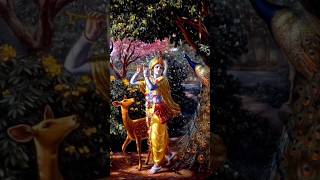 Happy Sri Krishna Janmashtami ♥️ krishna happyjanmashtami radhakrishna [upl. by Narayan]