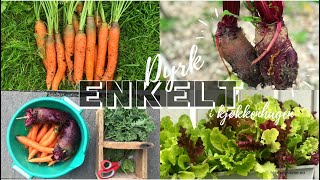 DYRK ENKELT 🥕Gulrot i melkekartong salat i verandakasse grønnkål i blomsterpotte  pallekarmer [upl. by Ycam72]