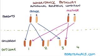 Understanding Autosomal Dominant and Autosomal Recessive Inheritance [upl. by Jew842]