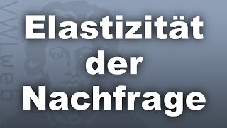 Elasitzität der Nachfrage  VWLweb  Goethe Uni Frankfurt  studentisches eLearningProjekt [upl. by Kamilah]