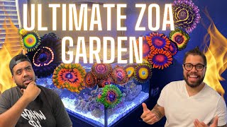 ultimate zoa garden [upl. by Suaeddaht]