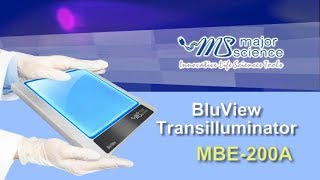 Major Science  BluView Transilluminator MBE200A [upl. by Argyres]