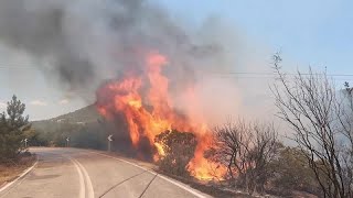 El incendio forestal del noreste de Grecia destruye viviendas y un cementerio [upl. by Atirec]