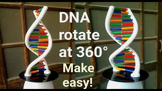 How to Make DNA Model Using Clay  Rotating DNA Model [upl. by Camilla]