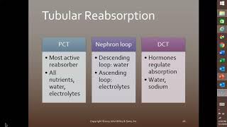 5 Reabsorption Secretion and Hormones [upl. by Straub]