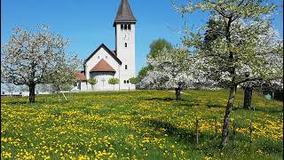 Livestream von Katholische Pfarrei Wetzikon [upl. by Maillw]