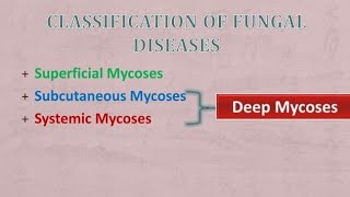 Classification of Mycosis  Superficial Cutaneous Subcutaneous Systemic mycosis [upl. by Namrej]