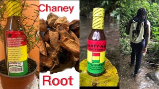 Omg 😱 my problem solved with Chaney root [upl. by Necila820]