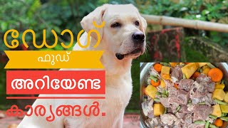 Home Made Dog Food In MalayalamHealthy Weight Gain Food [upl. by Terag]