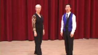 Silver Viennese Waltz  Rise and Fall Ballroom Dance Lesson [upl. by Ahsinej646]