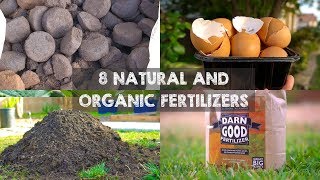 8 Natural and Organic Fertilizers to Grow Big Plants [upl. by Orban]